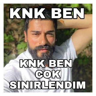 😄 emoji oz abim burak ozcivit Telegram sticker 22 of 22