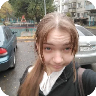 🚗 emoji Гелик ➡️ @Ctikerubot Telegram sticker 24 of 42