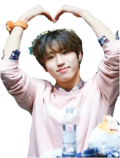 ❤️ emoji Stray kids Telegram sticker 19 of 120