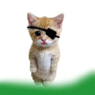Sticker from Котята