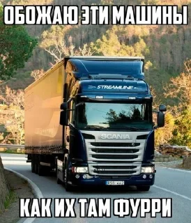 Sticker from spidozniigitleri