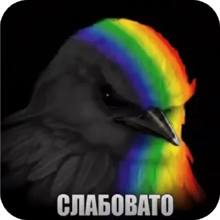 🐦 emoji Фразочкi Telegram sticker 8 of 36