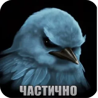🐦 emoji Фразочкi Telegram sticker 11 of 36