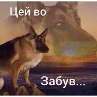 😔 emoji 🇺🇦UA - @sticua Telegram sticker 9 of 16