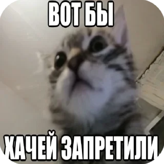 🧔 emoji ладно, разрешаю спиздить Telegram sticker 17 of 63