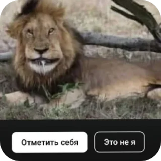 Sticker from джесс 2