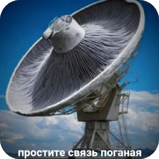 🐦 emoji просто да окей 👌👌 Telegram sticker 16 of 18