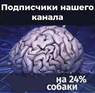 🌟 emoji Какой-то мусор Telegram sticker 7 of 114
