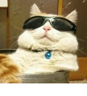 😎 emoji поцьомчик пак Telegram sticker 8 of 70