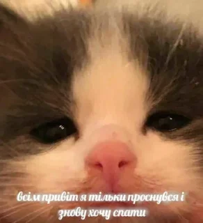 😳 emoji поцьомчик пак Telegram sticker 17 of 70