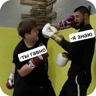🎢 emoji Memes Fighting Championship — @stckrRobot Telegram sticker 21 of 120