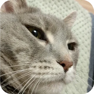 Sticker from 🤩