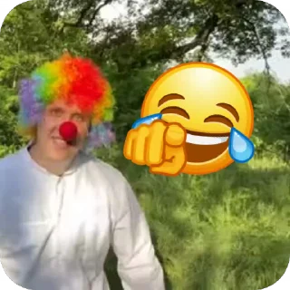 🎢 emoji ВАНЯ ИДИ НАХУЙ Telegram sticker 10 of 31