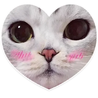 🥰 emoji Stickers Telegram sticker 5 of 70