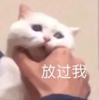 🥺 emoji 操你吗 @kaeyasslut Telegram sticker 13 of 58