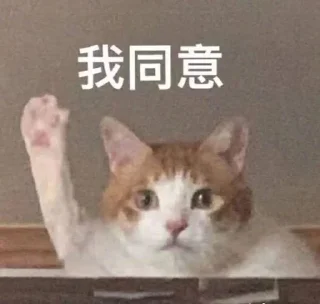 ✋ emoji 操你吗 @kaeyasslut Telegram sticker 7 of 58