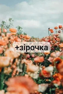 🌟 emoji Masha Kavbasha @MashaKavbasha Telegram sticker 24 of 72