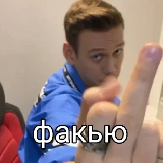 Sticker from Мои данные для переписки 🖕😂