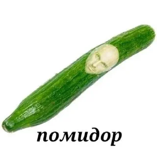 Sticker from Всратые Стикеры  - @ShitStikers