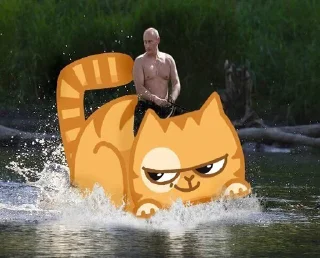 Sticker from Всратые Стикеры @r_o_o_m