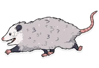 🏃‍♂️ emoji awesomepossum (@kotypic) Telegram sticker 21 of 30