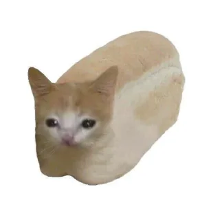 🐱 emoji Гламур💅💅💅💅 Telegram sticker 9 of 10