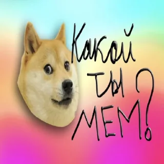 🏅 emoji Денег нет, но вы держитесь Telegram sticker 9 of 111