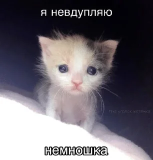 🧐 emoji гномья жизнь Telegram sticker 20 of 65
