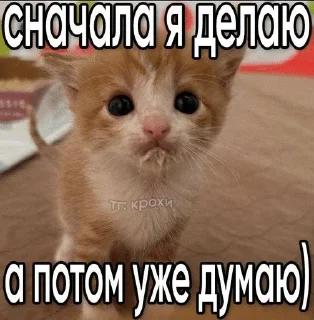 🤪 emoji гномья жизнь Telegram sticker 22 of 65