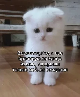 💗 emoji гномья жизнь Telegram sticker 15 of 65