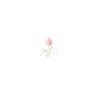 🌸 emoji cute_pink Telegram sticker 6 of 30