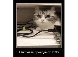 👀 emoji Комарики, го в t.me/komarustic Telegram sticker 24 of 47