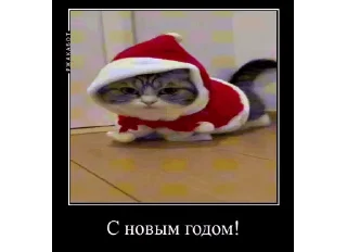 🍾 emoji Комарики, го в t.me/komarustic Telegram sticker 22 of 47