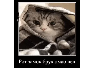 🤐 emoji Комарики, го в t.me/komarustic Telegram sticker 11 of 47