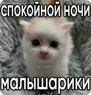 😴 emoji Мемчанский Telegram sticker 5 of 75