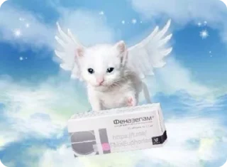 💊 emoji Мемчанский Telegram sticker 8 of 75