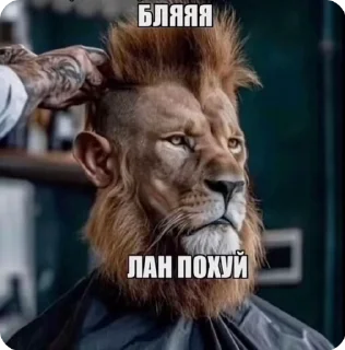 🪒 emoji Мемчанский Telegram sticker 23 of 75