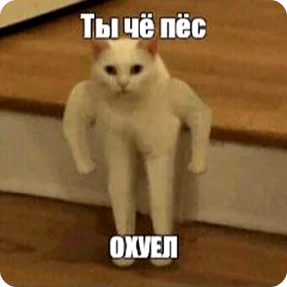 🚩 emoji Мемчанский Telegram sticker 15 of 75