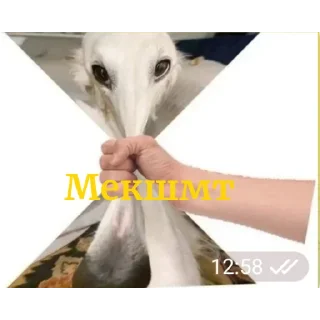 😁 emoji Вobowap создатель Telegram sticker 17 of 76