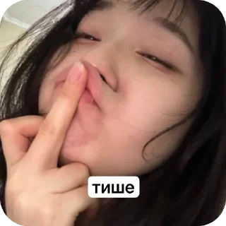 🫥 emoji Лутенчик Ася @kaydangana Telegram sticker 23 of 41
