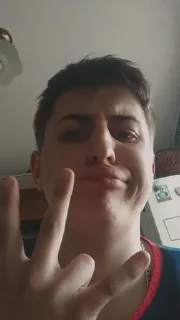 🤟 emoji типо я Telegram sticker 10 of 13