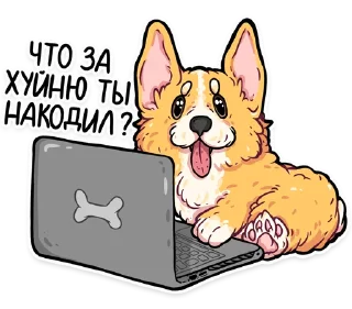 ❓ emoji корги кодеры (@kotypic) Telegram sticker 9 of 27