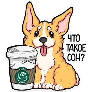 💤 emoji корги кодеры (@kotypic) Telegram sticker 5 of 27