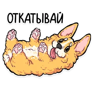 🙅‍♂️ emoji корги кодеры (@kotypic) Telegram sticker 18 of 27