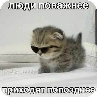 🐱 emoji Котики ➡️ @Ctikerubot Telegram sticker 15 of 71