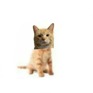 🐱 emoji Емайо стикер пак @Herlleycik и @Emae911 Telegram sticker 15 of 23