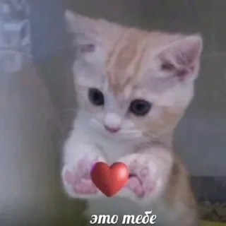 😄 emoji Для тебя Telegram sticker 13 of 14