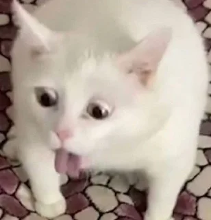 Sticker from Котики