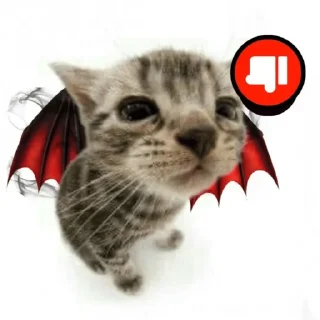 Sticker from Kitty