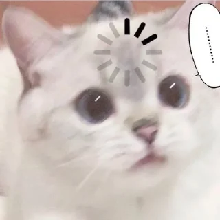 😕 emoji kitty Telegram sticker 10 of 62